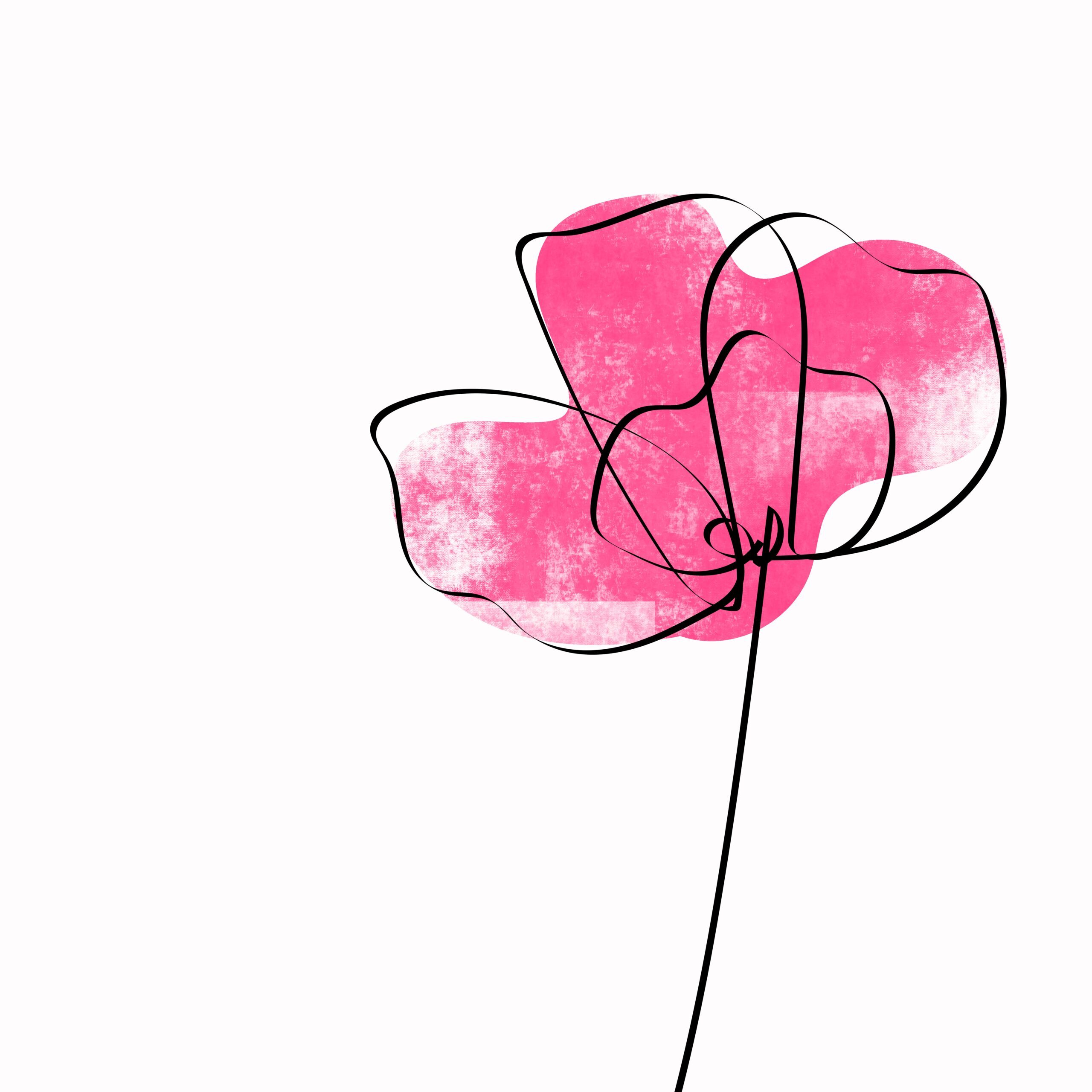 mooibeplant.nl