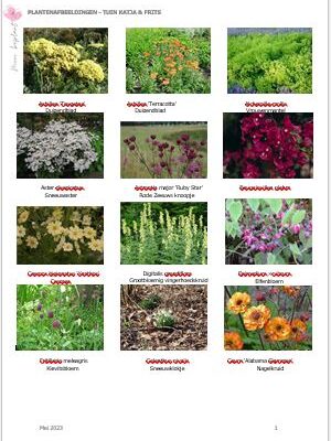 Plantenafbeeldingen uit voorbeeld beplantingsplan